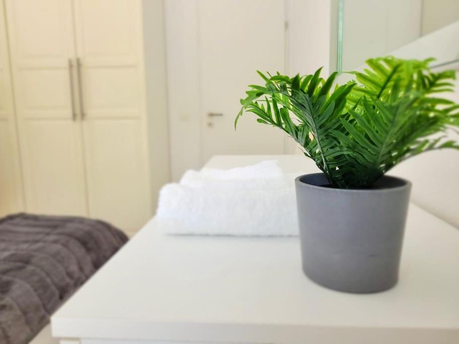 Apartment Palma - Central & Cozy With Free Private Parking Lugano Exterior foto